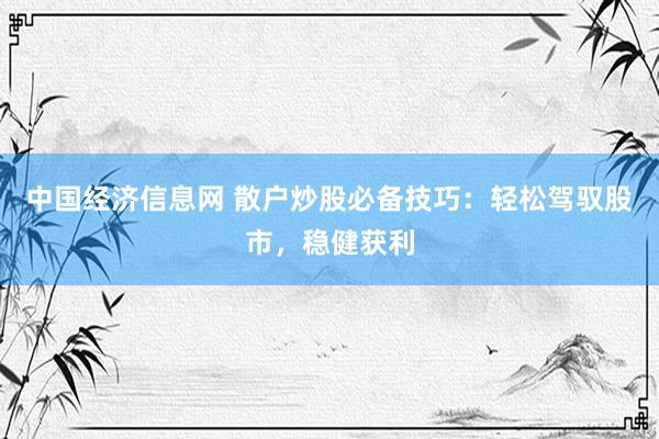 中国经济信息网 散户炒股必备技巧：轻松驾驭股市，稳健获利