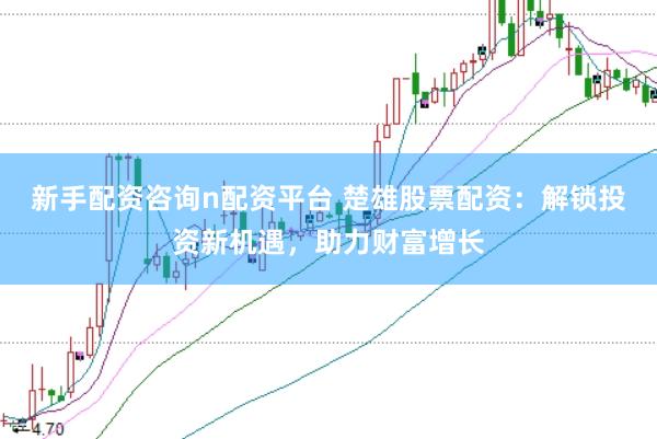 新手配资咨询n配资平台 楚雄股票配资：解锁投资新机遇，助力财富增长