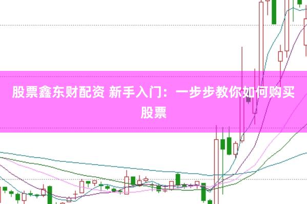 股票鑫东财配资 新手入门:一步步教你如何购买股票