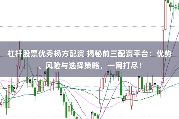 杠杆股票优秀杨方配资 揭秘前三配资平台:优势、风险与选择策略,一网打尽!