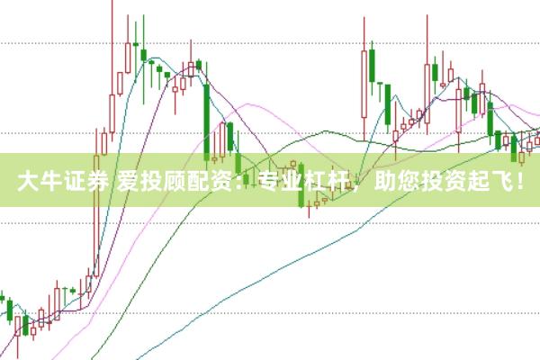 大牛证券 爱投顾配资：专业杠杆，助您投资起飞！
