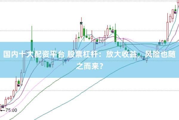 国内十大配资平台 股票杠杆：放大收益，风险也随之而来？