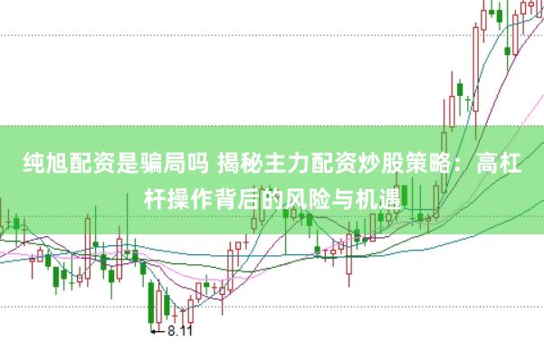 纯旭配资是骗局吗 揭秘主力配资炒股策略：高杠杆操作背后的风险与机遇