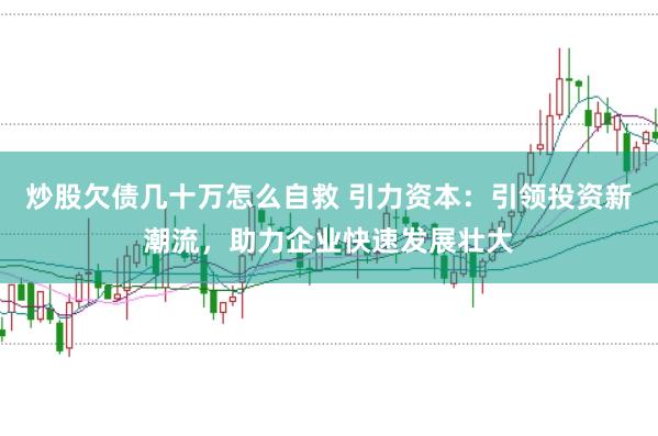 炒股欠债几十万怎么自救 引力资本：引领投资新潮流，助力企业快速发展壮大