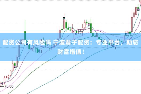 配资公司有风险吗 宁波君子配资:专业平台,助您财富增值!