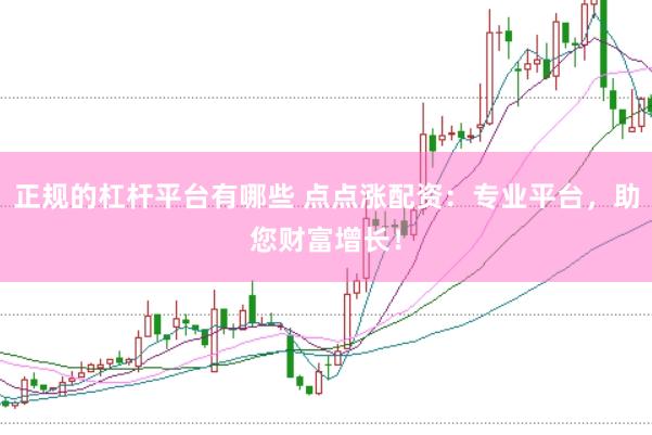 正规的杠杆平台有哪些 点点涨配资:专业平台,助您财富增长!