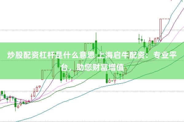 炒股配资杠杆是什么意思 上海启牛配资：专业平台，助您财富增值