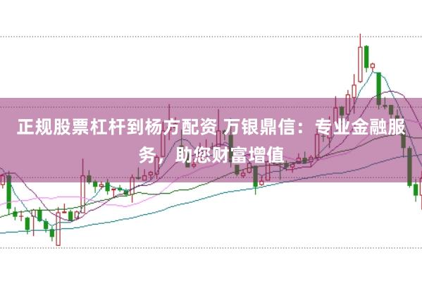 正规股票杠杆到杨方配资 万银鼎信：专业金融服务，助您财富增值