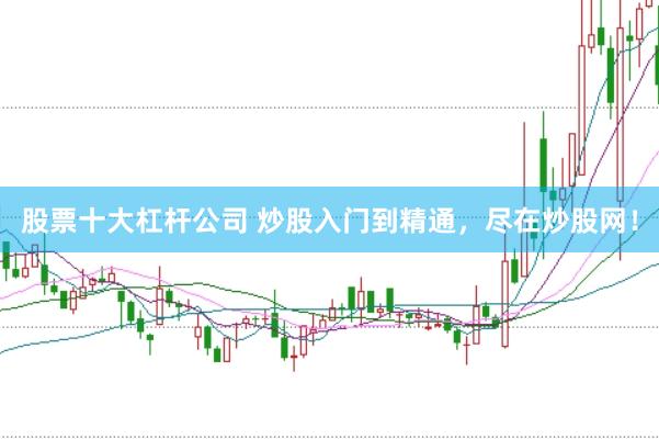 股票十大杠杆公司 炒股入门到精通，尽在炒股网！