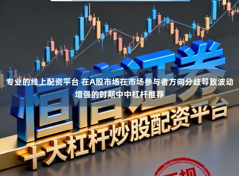专业的线上配资平台 在A股市场在市场参与者方向分歧导致波动增强的时期中中杠杆推荐