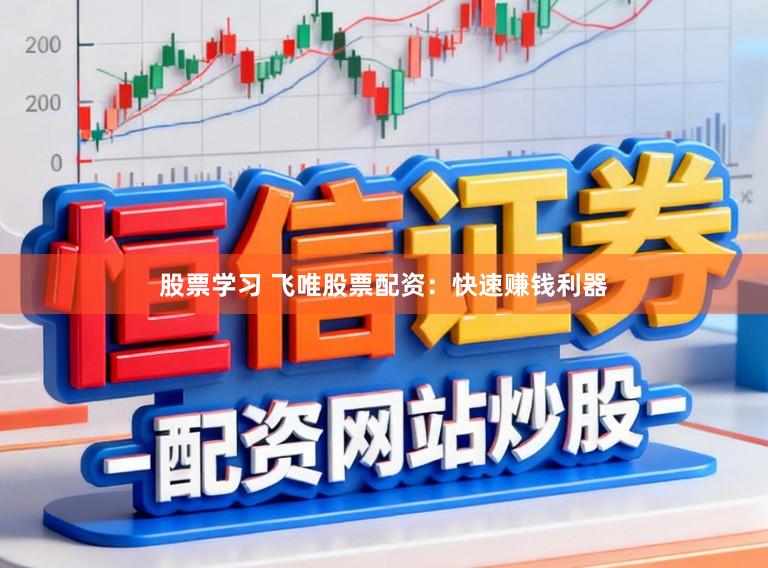 股票学习 飞唯股票配资：快速赚钱利器