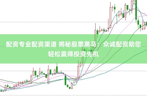 配资专业配资渠道 揭秘股票黑马：众诚配资助您轻松赢得投资先机